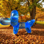 Lucky Dog blind bags game